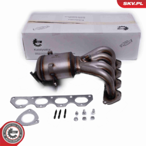 ESEN SKV 62SKV017 Catalytic converter